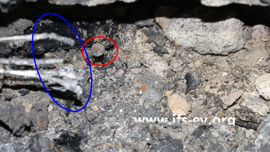 Im Mittelpunkt der Brandzehrung in der Sockelleiste ist eine Aluminiumleitung komplett verschmolzen (blaue Markierung), dahinter steckt ein Nagel im Holz (rote Markierung).