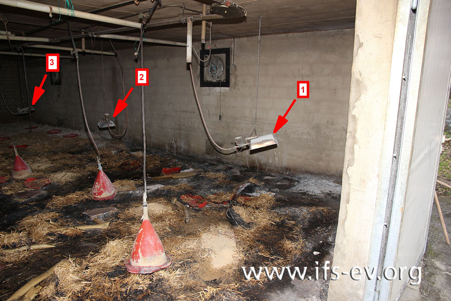 Blick in den brandbetroffenen Stall: Drei der vier dort aufgehängten Aufzuchtstrahler sind auf dem Bild zu sehen.