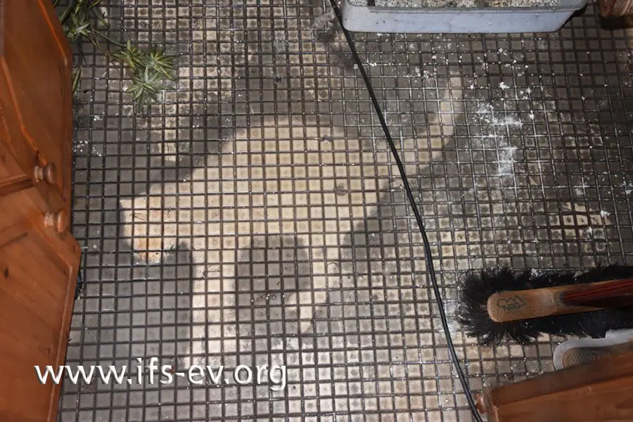 Die Katze lag leblos im Eingangsflur.