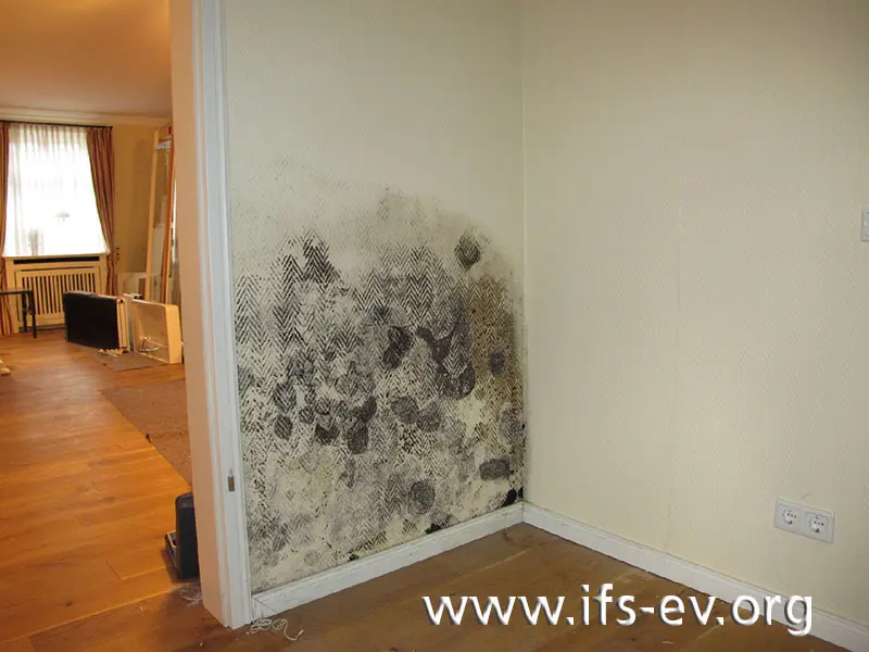 Massiver Schimmelpilzbefall an der Wand vom Schlafzimmer zur Diele.