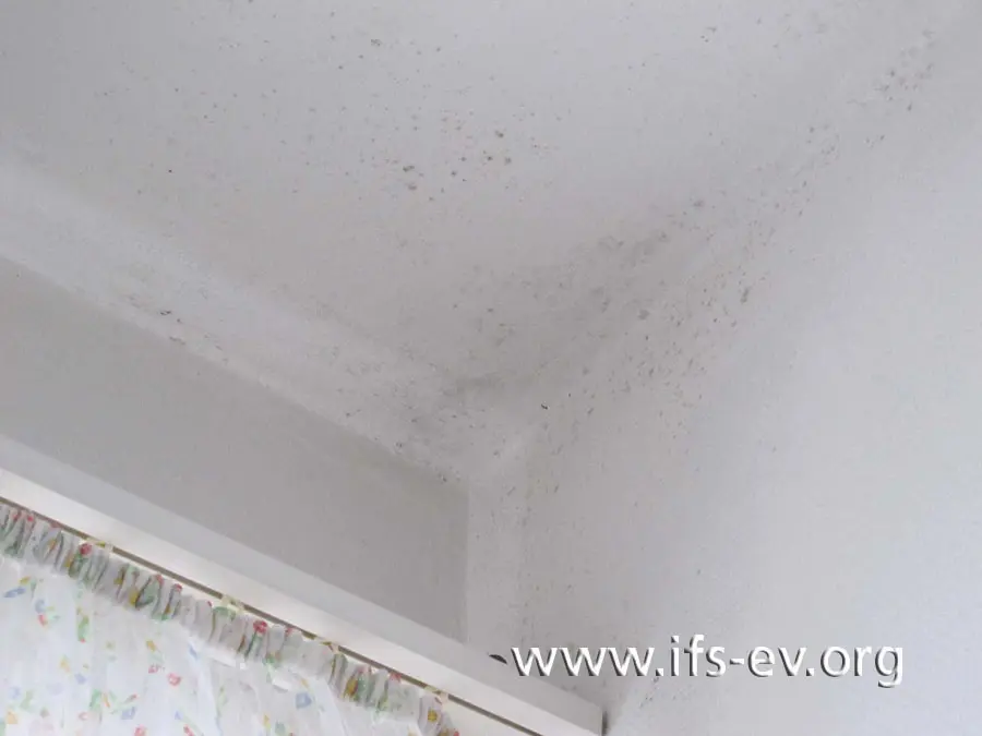 An der Außenwand oberhalb des Fensters ist im Badezimmer deutlicher Schimmelpilzbefall zu sehen.