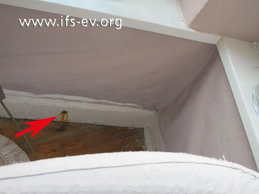 Unter dem Erkerfenster im Wohnzimmer fällt eine korrodierte Befestigungsschraube der Fußleiste auf (Pfeil). Zudem hat sich die Tapete von der Wand gelöst.