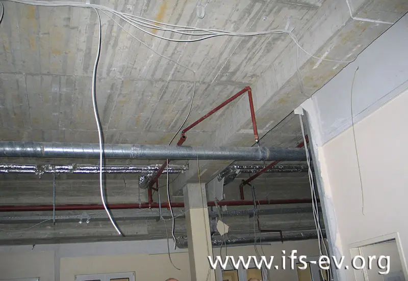 Ausgehend von einer Hauptversorgungsleitung verlaufen unter der Decke die parallelen Leitungsstränge der Sprinkleranlage.