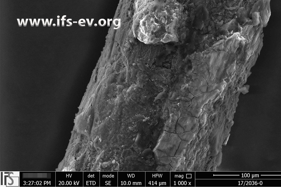Die elektronenmikroskopische Aufnahme zeigt korrosive Ablagerungen an einem der Metalldrähte.