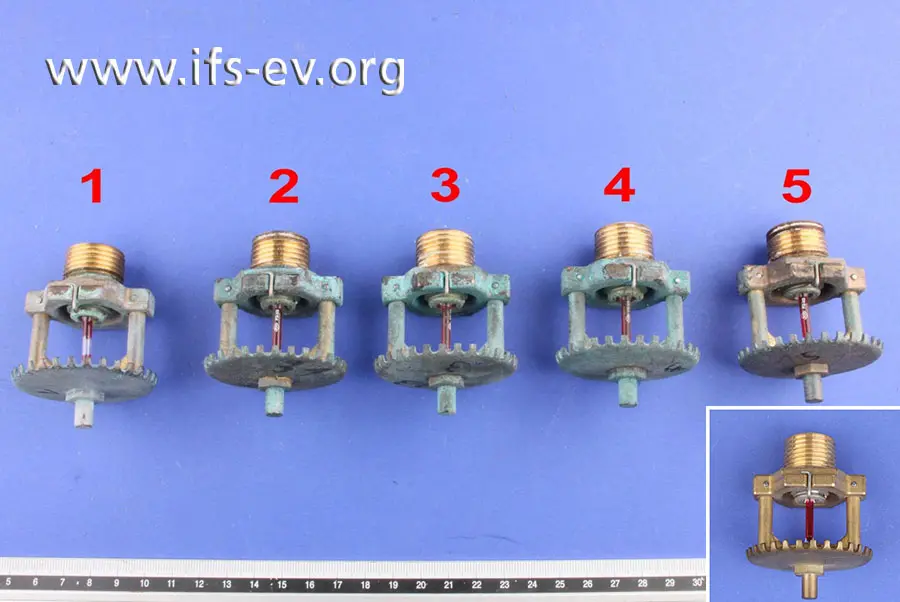 Die fünf Sprinklerköpfe waren im Schadenobjekt installiert. Zum Vergleich erhielt das IFS noch einen neuen aus der Reserve (kleines Bild).